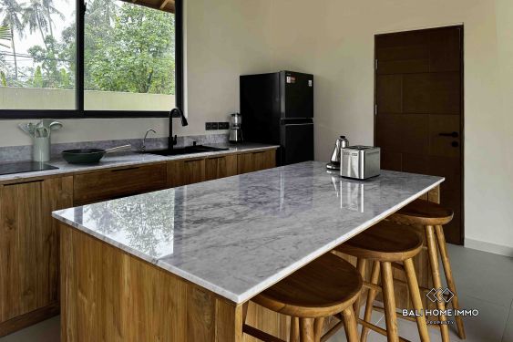 Image 10 from Brand new 2 Bedroom Villa for sale leasehold in Bali Ubud