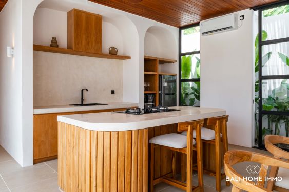 Image 9 from Villa neuve de 2 chambres à vendre en location à Bali Ubud