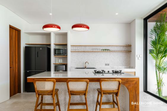 Image 10 from VILLA BARU 2 KAMAR DIKONTRAKAN DI CANGGU KAYUTULANG