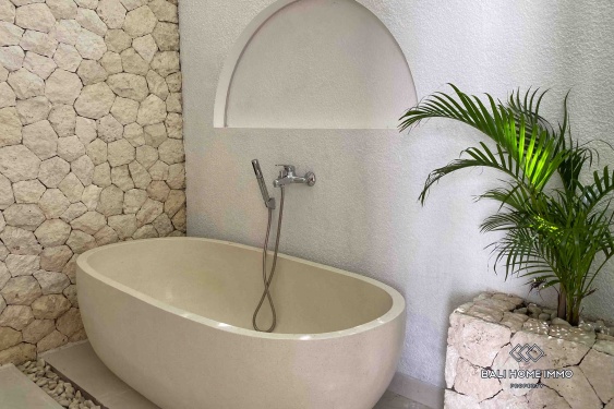 Image 15 from Brand new 2 Bedroom Villa for Sale Leasehold in Seminyak Residential Side