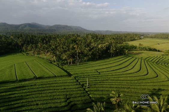 Image 13 from Dikontrakkan vila 2 kamar barui Balian Beach Tabanan Bali