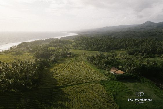 Image 14 from Dikontrakkan vila 2 kamar barui Balian Beach Tabanan Bali