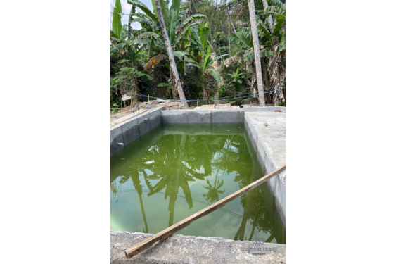 Image 13 from VILA 3 KAMAR TIDUR DENGAN DESAIN MINIMALIS UNTUK DIJUAL DI BALI UBUD