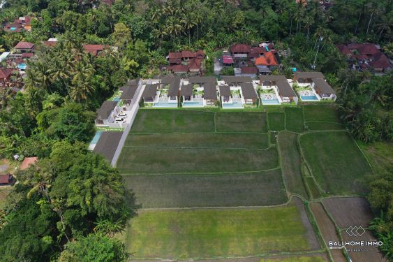 Image 13 from Off-Plan 3 Bedroom Villa for sale leasehold in Bali Ubud