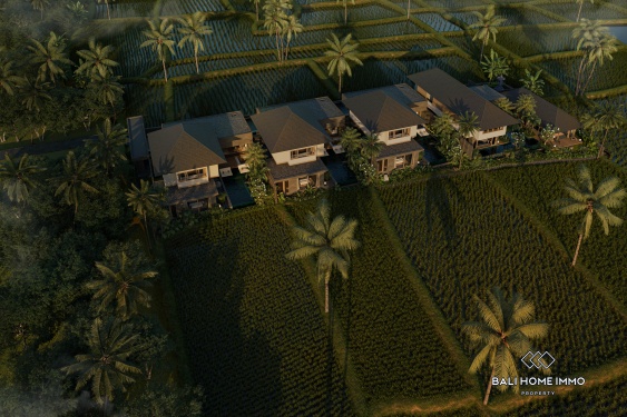 Image 8 from Off-plan 3 bedroom villa for sale in Ubud