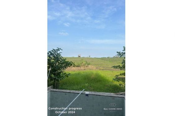Image 11 from Dijual Vila 4 Kamar Berpemandangan Sawah di Canggu, Bali