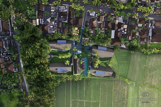 Image 14 from Villa de 5 chambres sur plan à vendre en location à Bali Kaba Kaba