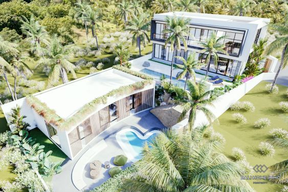 Image 3 from OFF PLAN 6 BEDROOM VILLA FOR SALE LEASEHOLD IN BALI PERERENAN