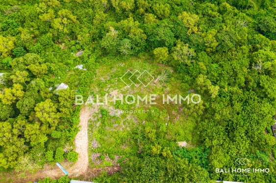 Image 2 from Terrain en bail emphytéotique avec vue panoramique sur l'océan à vendre à Pecatu – Nunggalan