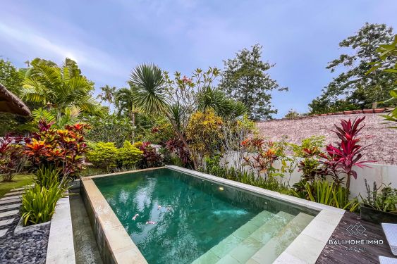 Image 3 from PEACEFUL 2 BEDROOMS VILLA FOR MONTHLY RENTAL IN BALI - UNGASAN