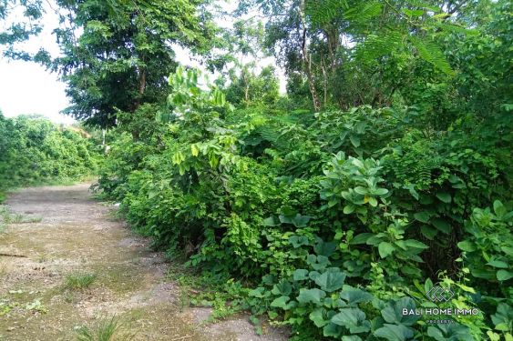 Image 3 from Peaceful Land for Sale Leasehold - Walking Distance to the Oceanfront Cliff  in Uluwatu