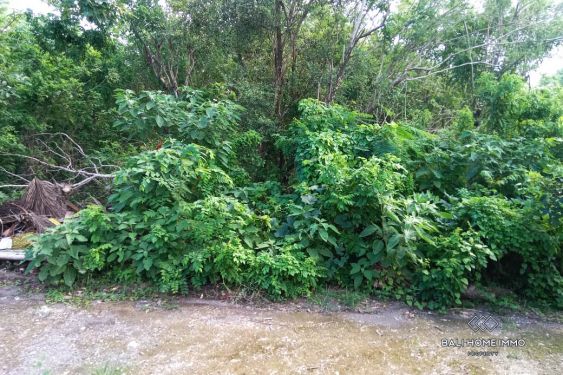 Image 3 from Peaceful Land for Sale Leasehold with Ocean View in Uluwatu