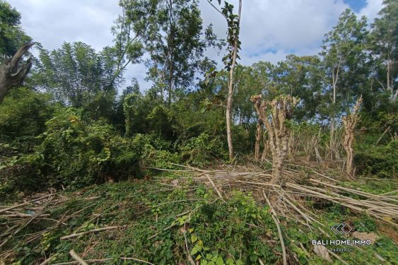 Image 4 from Terrain résidentiel paisible à vendre en location à Pecatu