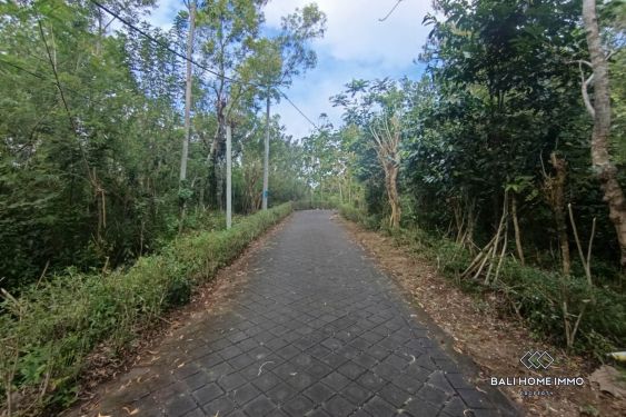 Image 6 from Terrain résidentiel paisible à vendre en location à Pecatu