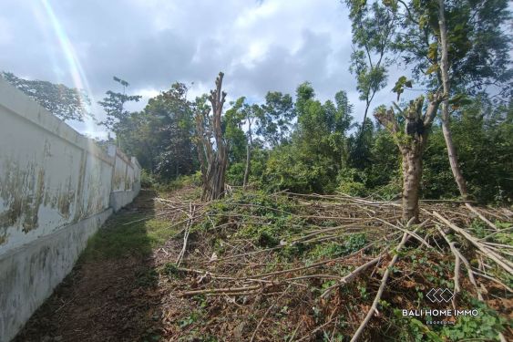 Image 5 from Terrain résidentiel paisible à vendre en location à Pecatu