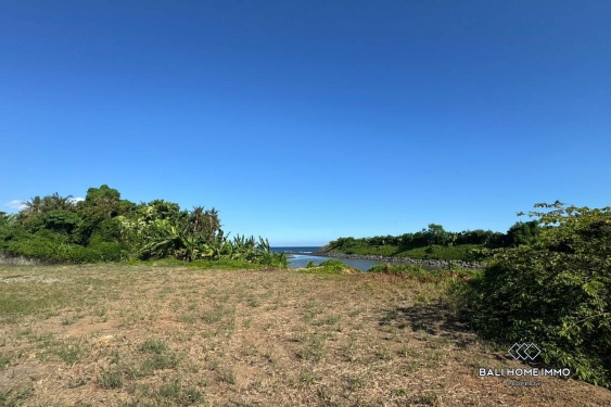 Image 2 from Pink Land Zone for Sale in Saba Beach Gianyar