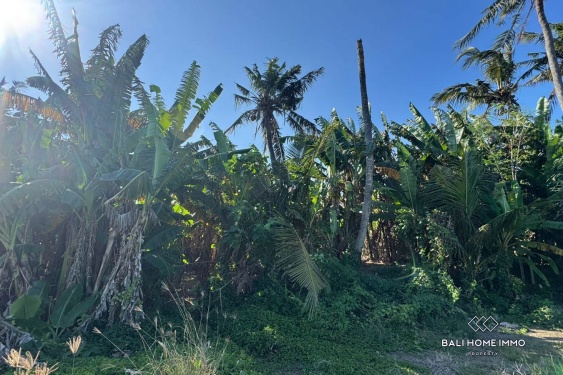 Image 5 from Pink Land Zone for Sale in Saba Beach Gianyar