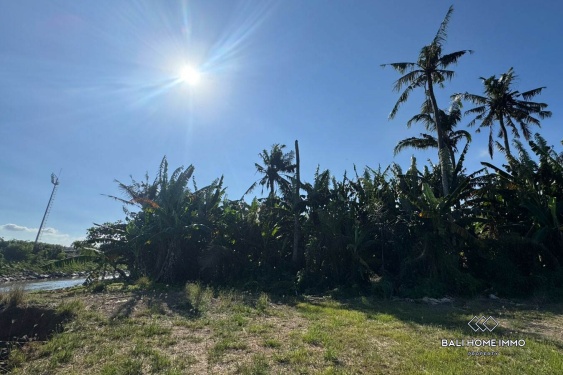 Image 3 from Pink Land Zone for Sale in Saba Beach Gianyar