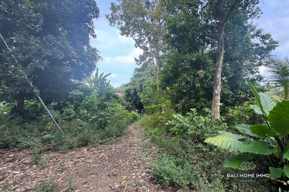 Image 3 from Terrains en zone rose à vendre à Sayan Ubud