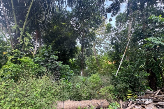 Image 2 from Terrains en zone rose à vendre à Sayan Ubud