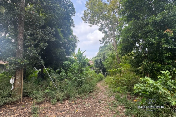 Image 4 from Terrains en zone rose à vendre à Sayan Ubud