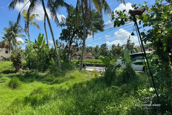 Image 7 from Pink Zone Land For Sale in Sri Wedari Ubud