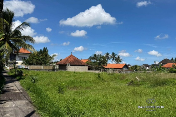 Image 8 from Pink Zone Land For Sale in Sri Wedari Ubud