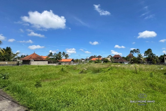 Image 6 from Pink Zone Land For Sale in Sri Wedari Ubud