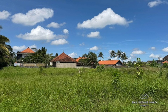 Image 3 from Pink Zone Land For Sale in Sri Wedari Ubud