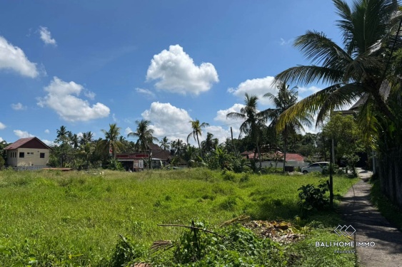 Image 9 from Pink Zone Land For Sale in Sri Wedari Ubud