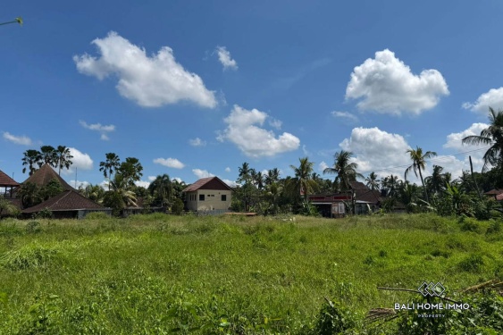 Image 2 from Pink Zone Land For Sale in Sri Wedari Ubud