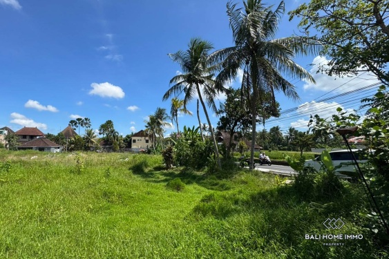 Image 4 from Pink Zone Land For Sale in Sri Wedari Ubud