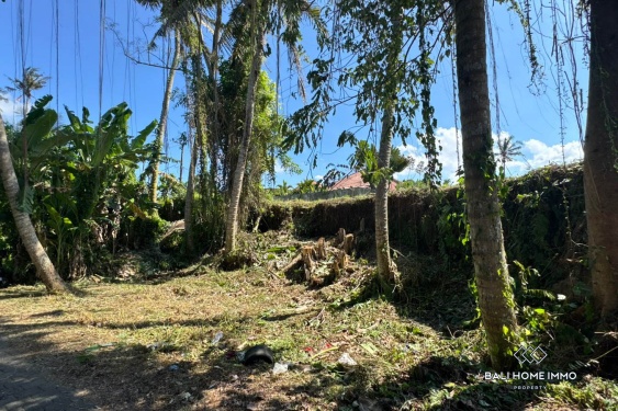 Image 8 from Tanah di Zona Merah Muda Dijual di Ubud