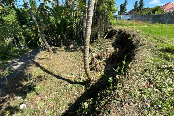 Image 5 from Tanah di Zona Merah Muda Dijual di Ubud