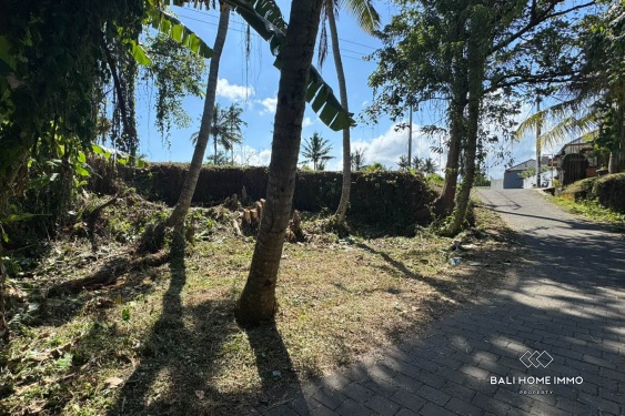 Image 9 from Tanah di Zona Merah Muda Dijual di Ubud