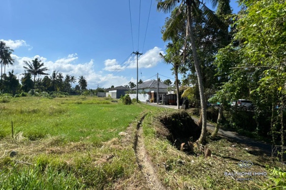 Image 3 from Tanah di Zona Merah Muda Dijual di Ubud