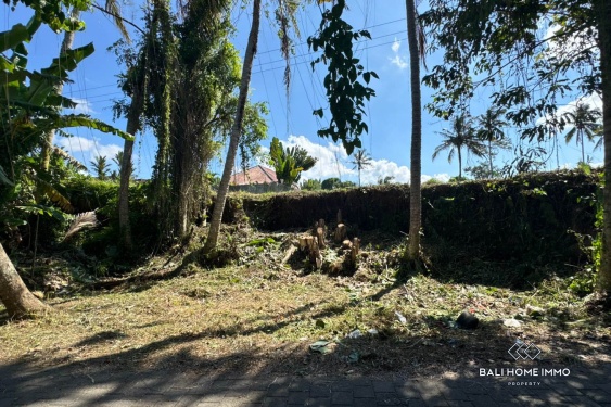 Image 7 from Tanah di Zona Merah Muda Dijual di Ubud