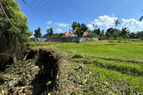 Image 4 from Tanah di Zona Merah Muda Dijual di Ubud