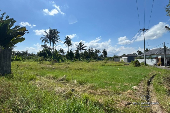 Image 2 from Tanah di Zona Merah Muda Dijual di Ubud