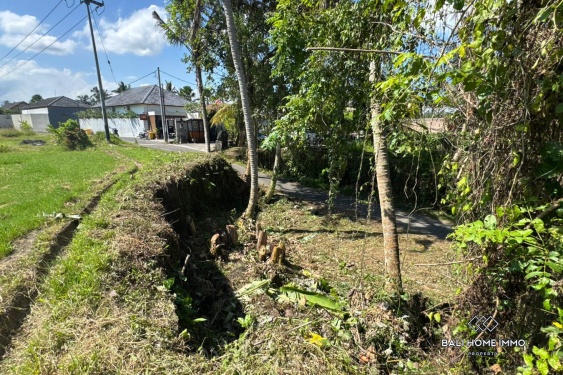 Image 6 from Tanah di Zona Merah Muda Dijual di Ubud