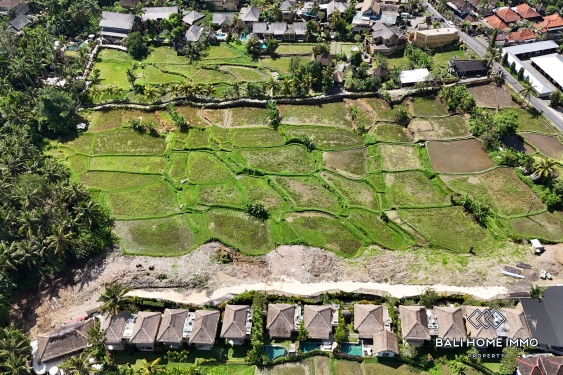 Image 2 from Pink Zone Land with Ricefield View for Sale in Ubud