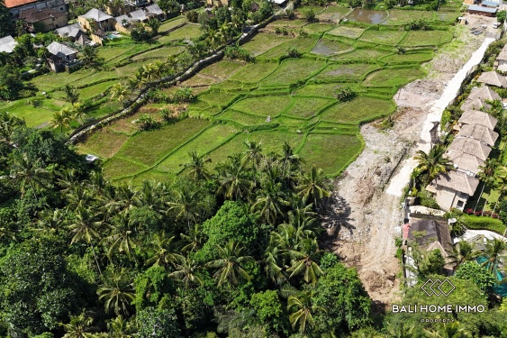 Image 3 from Pink Zone Land with Ricefield View for Sale in Ubud