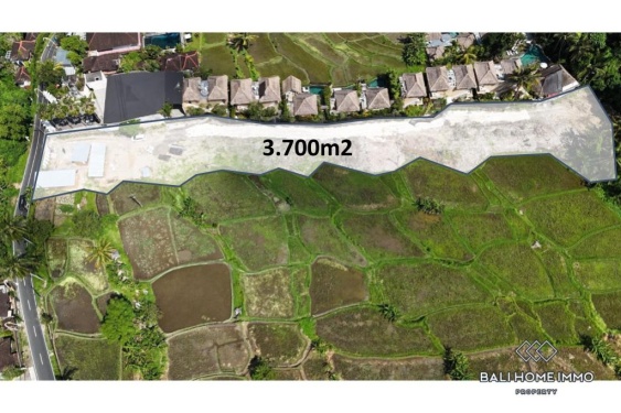 Image 1 from Pink Zone Land with Ricefield View for Sale in Ubud