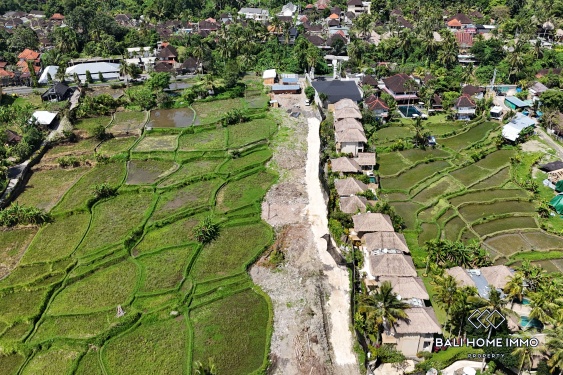 Image 4 from Pink Zone Land with Ricefield View for Sale in Ubud