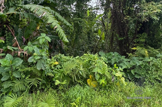 Image 4 from Potential Pink Zone Land for Sale in Ubud