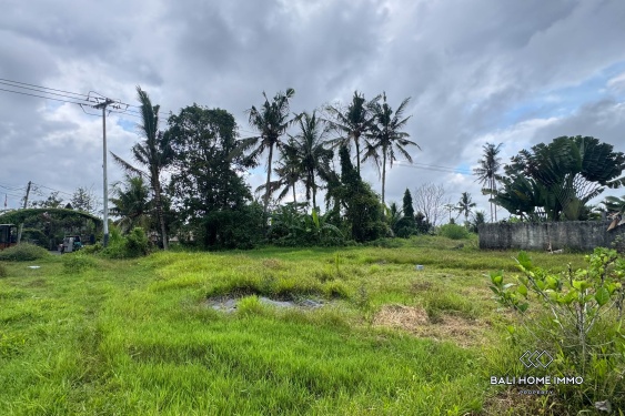 Image 2 from Potential Pink Zone Land for Sale in Ubud