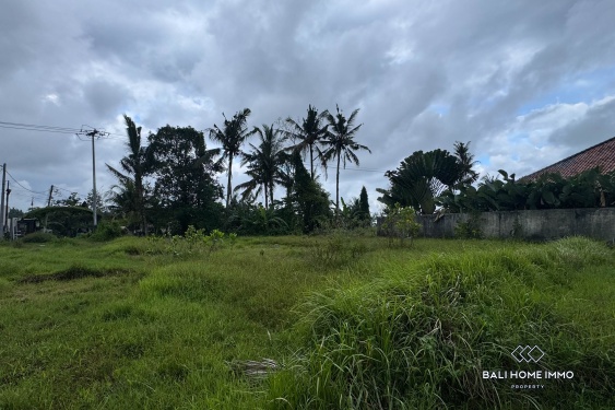 Image 3 from Potential Pink Zone Land for Sale in Ubud