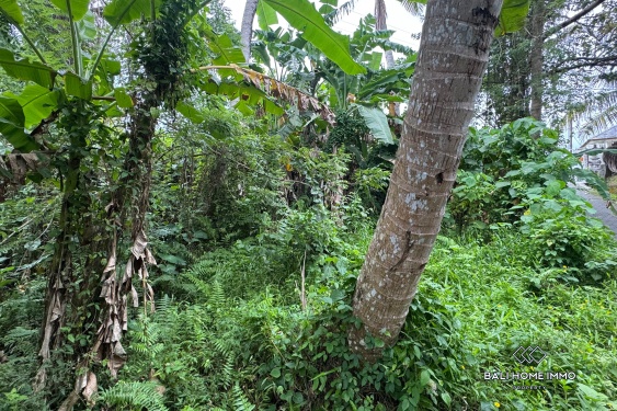 Image 5 from Potential Pink Zone Land for Sale in Ubud