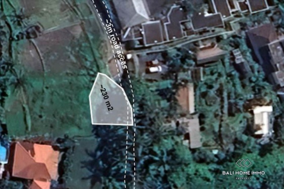 Image 1 from Potential Pink Zone Land for Sale in Ubud