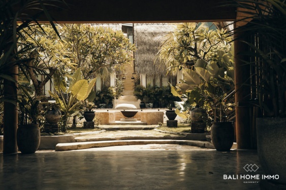 Image 4 from VILLA DE LUXE DE 8 CHAMBRES À VENDRE EN BAIL IMMOBILIER - INVESTISSEMENT LOCATIF À HAUTE RENTABILITÉ